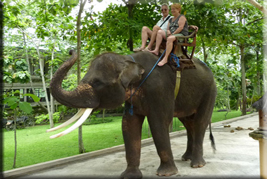 elephant-safari-park-bali-tour1